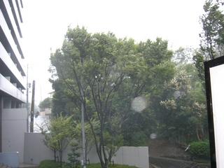 P1000798.JPG
